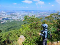 -紫金山山顶公园