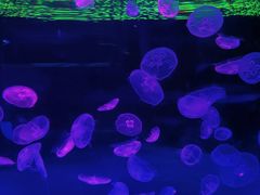 -波塞冬旅游度假区