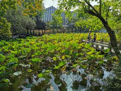 -上海醉白池公园