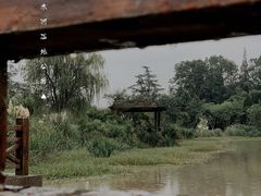 -桤木河湿地公园