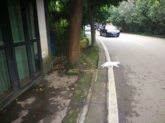 -三圣花乡旅游区