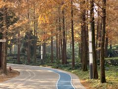 -苏州河梦清园环保主题公园