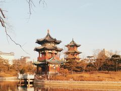 -迎泽公园