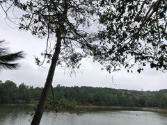 -南京市无想山景区