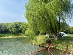 -新洲生态园