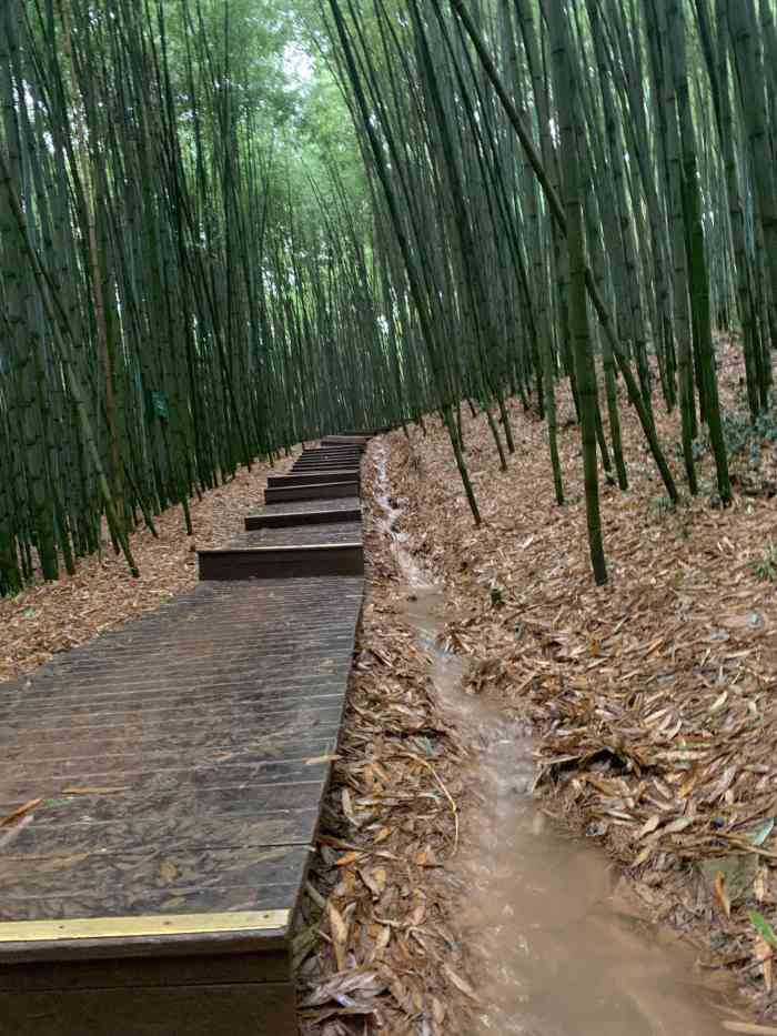 西安鲸鱼沟竹海风景区