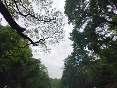 -岳麓山风景名胜区