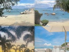 -巽寮湾