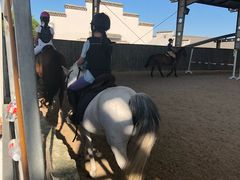 -松声马术俱乐部