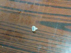 -粥旺府(月环里店)