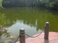 -荔香公园