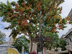 -天津意大利风情旅游区