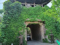 -原山国家森林公园