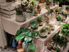 -The Green Party(嘉里中心店)
