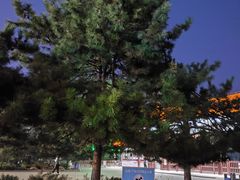 -北陵公园
