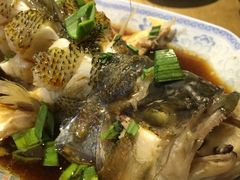 清蒸鲈鱼-沈记菜馆(酒仙桥路店)