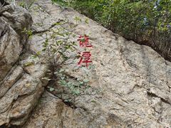 -九龙池景区