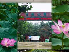-古塔公园