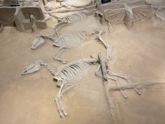 -洛阳周王城天子驾六博物馆