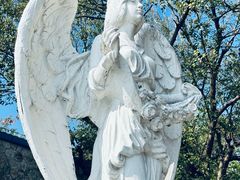 -玫瑰海岸文化旅游度假区