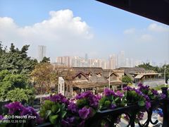 -李子坝梁山鸡(李子坝大鸡哥店)