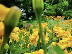 -长春公园(普阳街道)