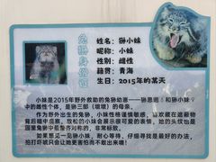 -青藏高原野生动物园