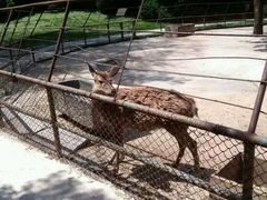 -祥源·阜阳生态乐园