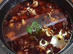 -重庆乌鱼庄·龙滋鲜(青羊大道店)