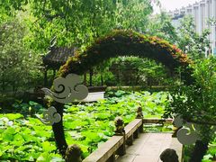 -上海醉白池公园