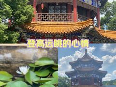 -天下玉苑