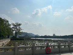 -顺峰山公园