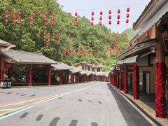 -栾川竹海野生动物园