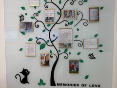 -北京观赏动物医院·24小时大型综合·猫专科·异宠专科