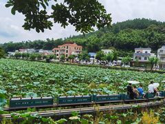-红山村