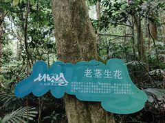 -七仙岭温泉国家森林公园