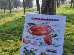 -汉长安城未央宫国家考古遗址公园