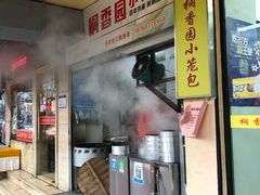 -桐香园小笼包(百井坊巷店)