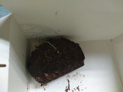 -星巴克(苏州平江万达广场店)