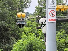 -富斯特索道