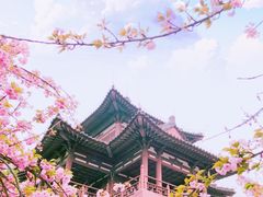 -西安青龙寺遗址景区