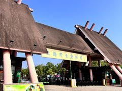 -上海野生动物园