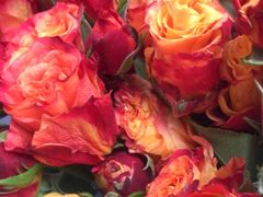 -循礼门鲜花花市(武汉循礼门店)