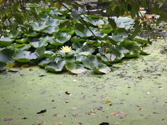 -长白岛森林公园