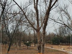 -绿堤公园