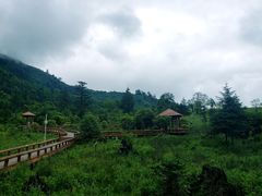 景点-硗碛藏寨·神木垒景区