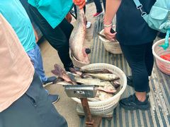 -日照世帆赛基地