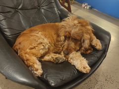 -argangKaffe(宝庆路店)