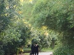 -南沙蒲洲花园