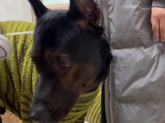 -美联众合24小时·皮肤科·外科·全科诊疗中心(华苑分院)